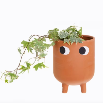 Planter with a Face on It