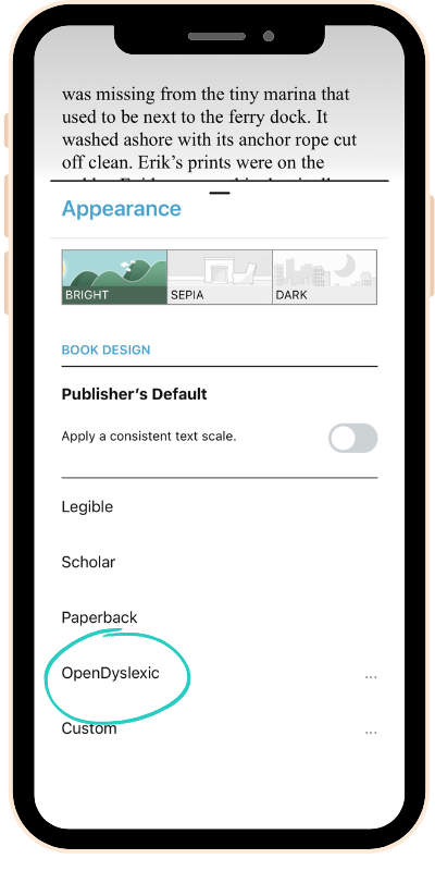 Screenshot of someone choosing OpenDyslexic Font in the Libby app